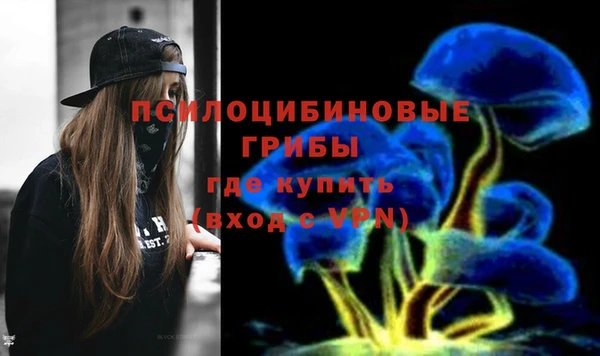 наркотики Белокуриха